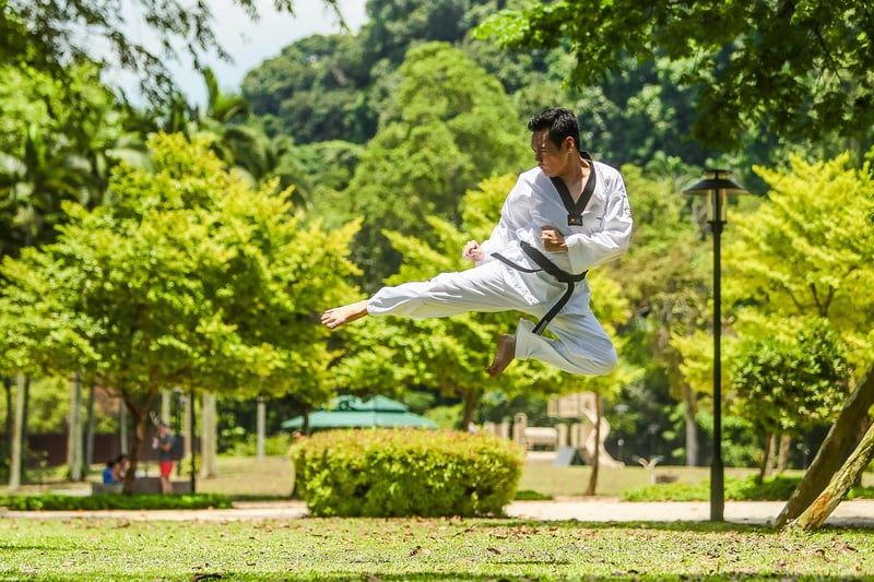 Kung Fu Training